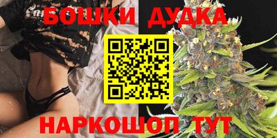 спиды Кандалакша