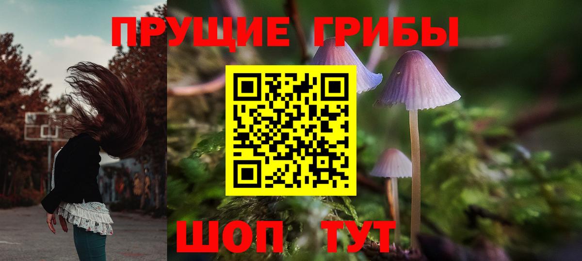 Псилоцибиновые грибы прущие грибы Евпатория